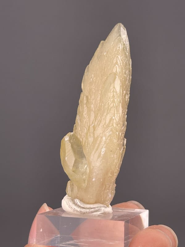 Close-up of calcite feather habit showing yellow translucency