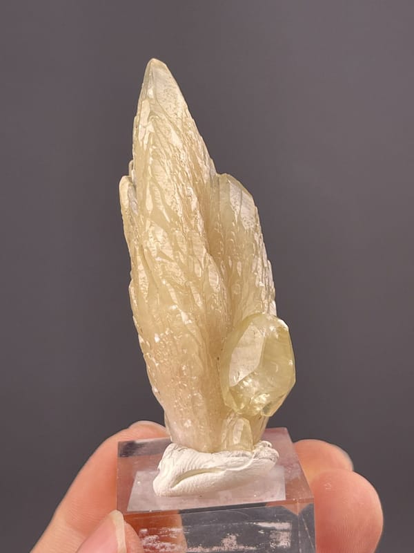 Top view of calcite feather showing radiating crystal pattern