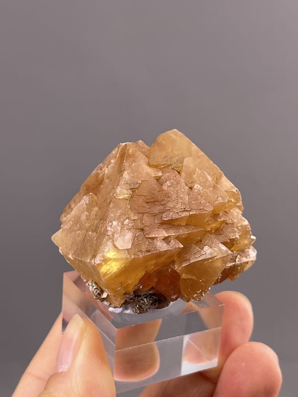 Golden Pyramidal Scheelite Crystal from Xuebaoding Mountain, Sichuan, Chin – top-down view