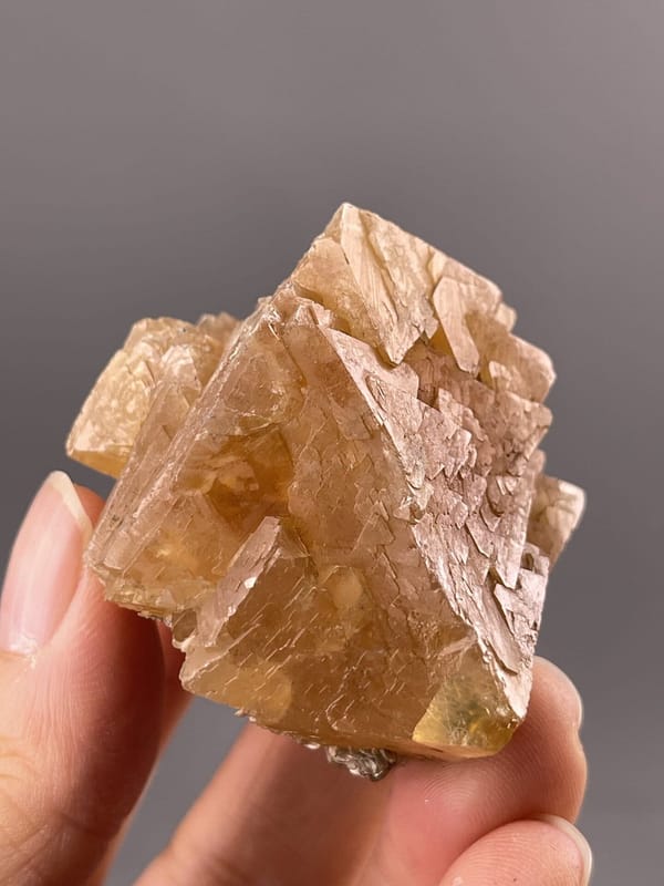 Golden Pyramidal Scheelite Crystal from Xuebaoding Mountain, Sichuan, Chin – scale reference view