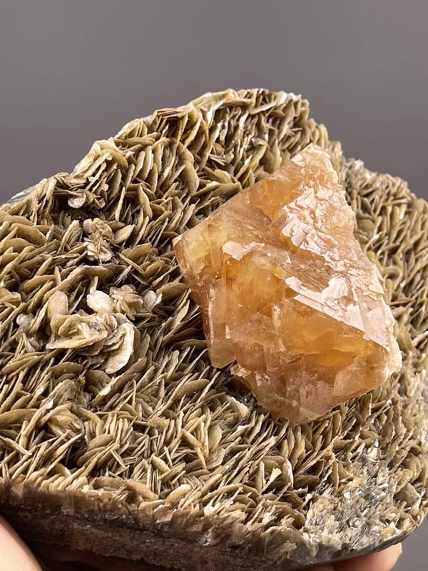 Scheelite Crystal from Xuebaoding Mountain, Sichuan – angled view showing matrix