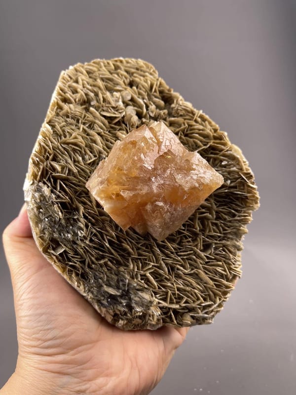 Scheelite Crystal from Xuebaoding Mountain, Sichuan – lustre and transparency detail