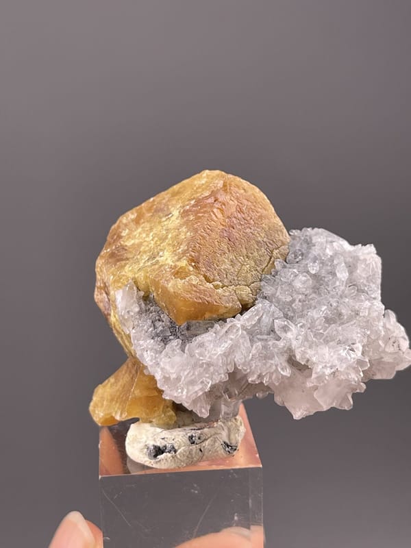 Detail of scheelite surface showing adamantine to resinous luster