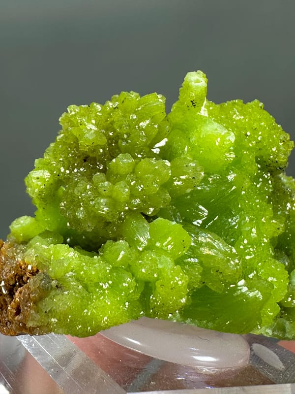 Pyromorphite Green Cluster | Guangxi China | Hexagonal Crystals | Collector's Mineral Specimen