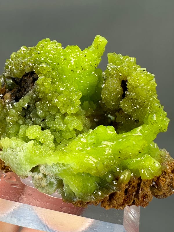Pyromorphite Green Cluster | Guangxi China | Hexagonal Crystals | Collector's Mineral Specimen