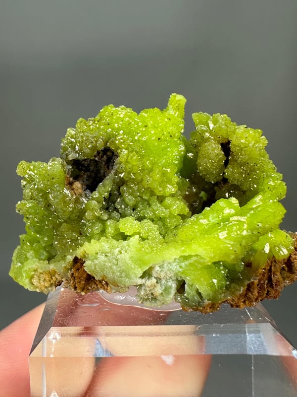 Pyromorphite Green Cluster | Guangxi China | Hexagonal Crystals | Collector's Mineral Specimen