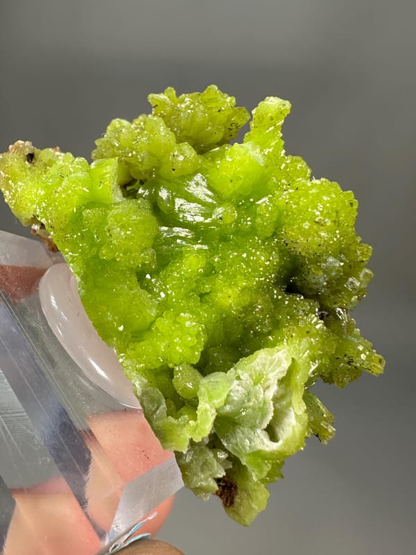 Pyromorphite Green Cluster | Guangxi China | Hexagonal Crystals | Collector's Mineral Specimen