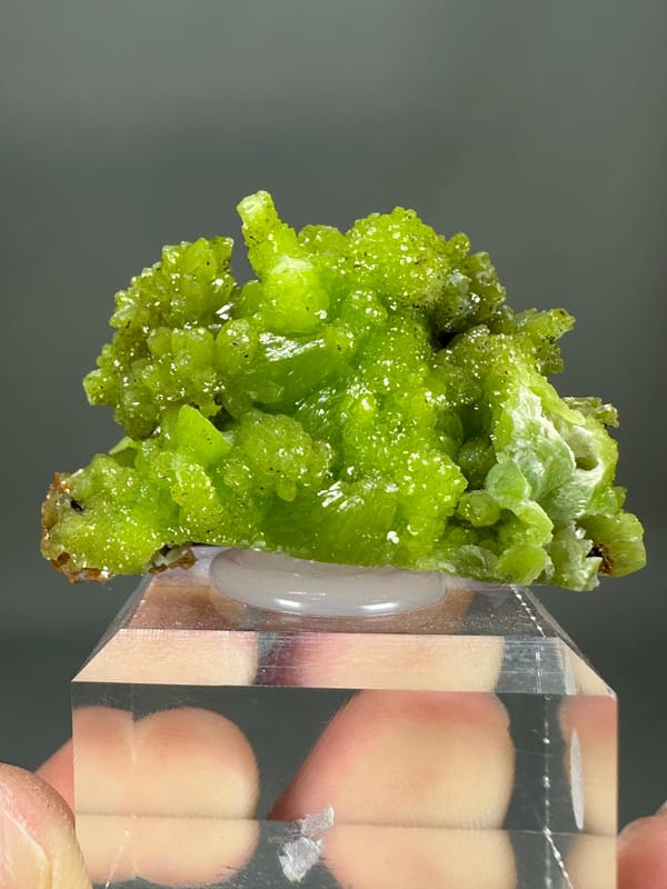 Pyromorphite Green Cluster | Guangxi China | Hexagonal Crystals | Collector's Mineral Specimen