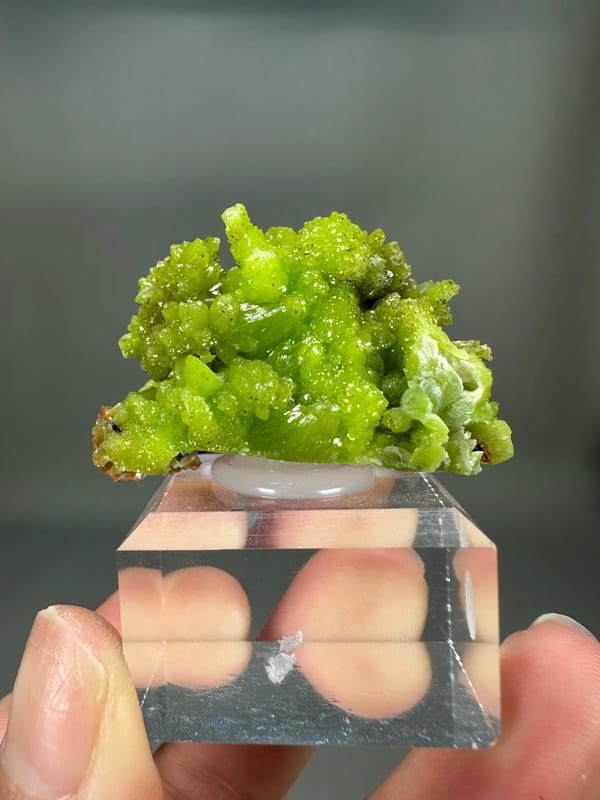 Pyromorphite Green Cluster | Guangxi China | Hexagonal Crystals | Collector's Mineral Specimen