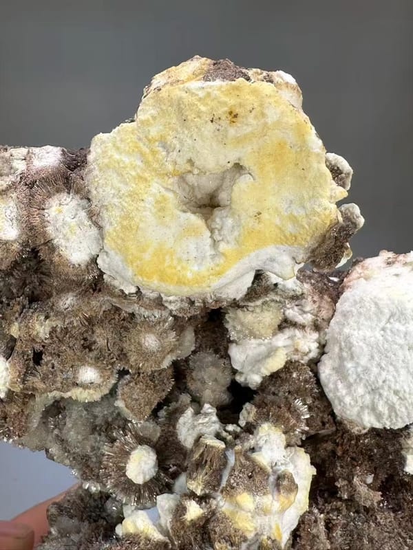Gypsum Popcorn White | Guizhou China | Mineral Specimen Display Piece