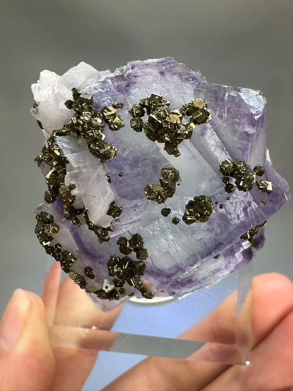 Fluorite Pyrite Calcite Multi-Mineral Specimen - Yaogangxian Hunan China - Collector Display Piece