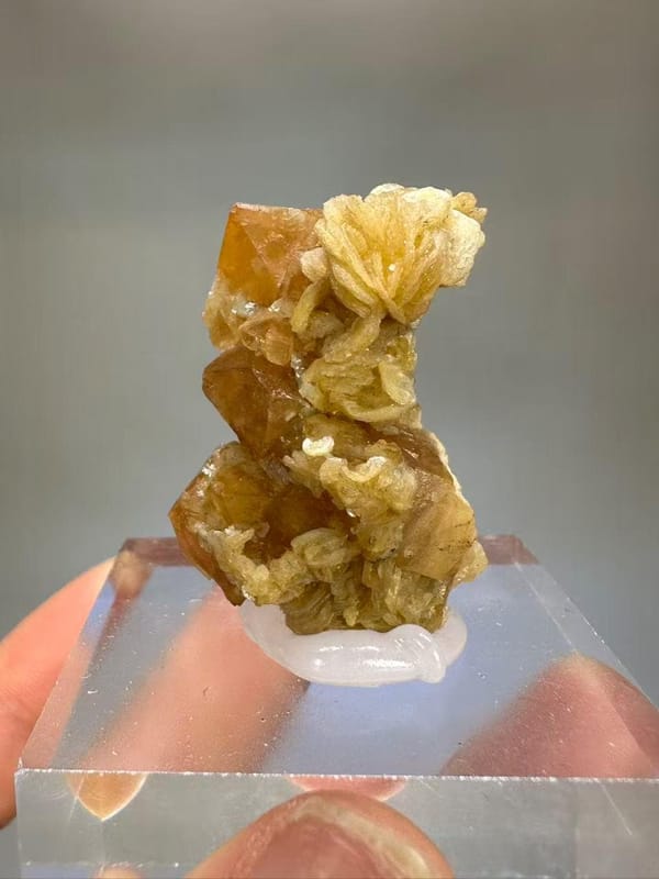 Scheelite Muscovite Mica Crystal - Xuebaoding Sichuan China - Natural Collector Mineral Specimen
