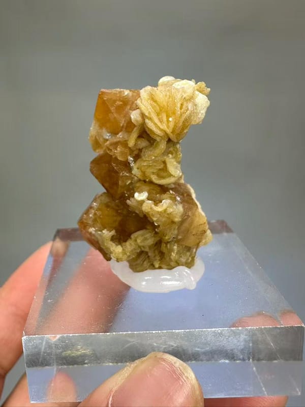 Scheelite Muscovite Mica Crystal - Xuebaoding Sichuan China - Natural Collector Mineral Specimen