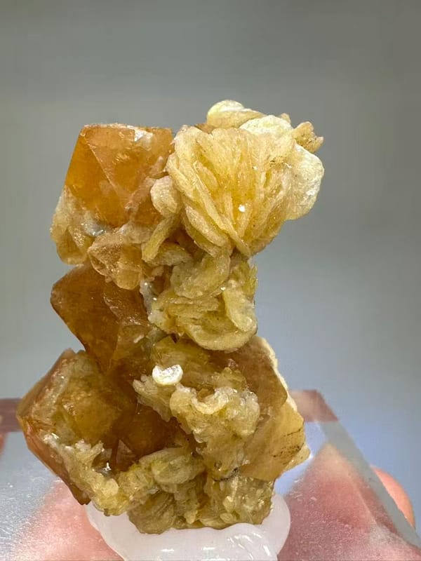 Scheelite Muscovite Mica Crystal - Xuebaoding Sichuan China - Natural Collector Mineral Specimen