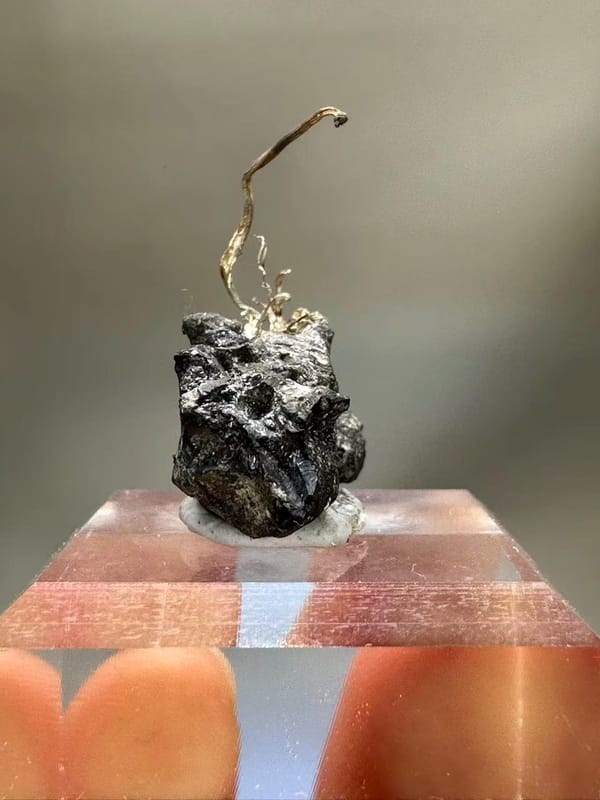 Natural Native Silver Wire Specimen Inner Mongolia China - Crystallized Silver on Sulfide Matrix Collector Element - SKU H1022