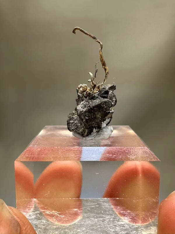 Natural Native Silver Wire Specimen Inner Mongolia China - Crystallized Silver on Sulfide Matrix Collector Element - SKU H1022