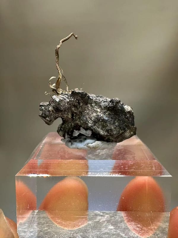 Natural Native Silver Wire Specimen Inner Mongolia China - Crystallized Silver on Sulfide Matrix Collector Element - SKU H1022