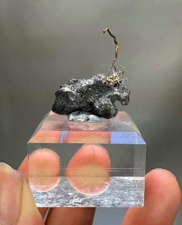 Natural Native Silver Wire Specimen Inner Mongolia China - Crystallized Silver on Sulfide Matrix Collector Element - SKU H1022