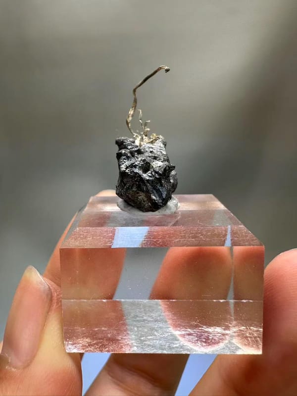 Natural Native Silver Wire Specimen Inner Mongolia China - Crystallized Silver on Sulfide Matrix Collector Element - SKU H1022