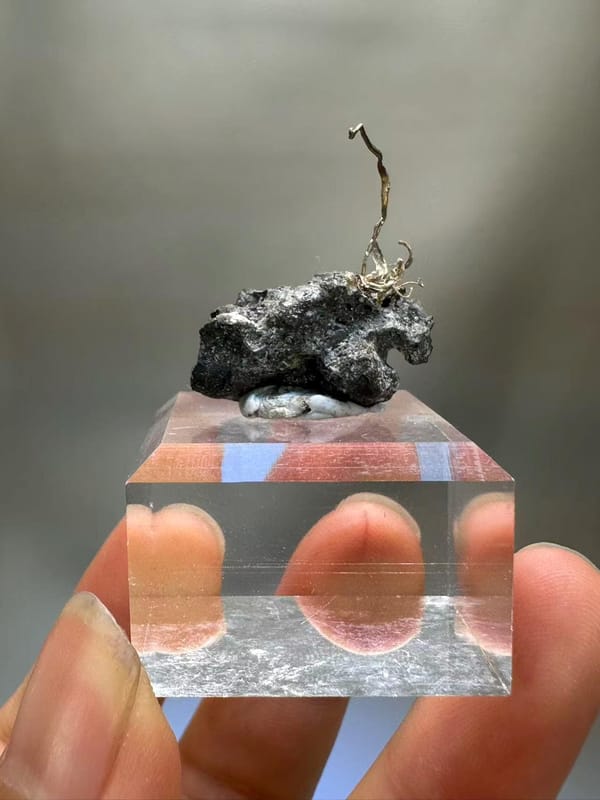 Natural Native Silver Wire Specimen Inner Mongolia China - Crystallized Silver on Sulfide Matrix Collector Element - SKU H1022
