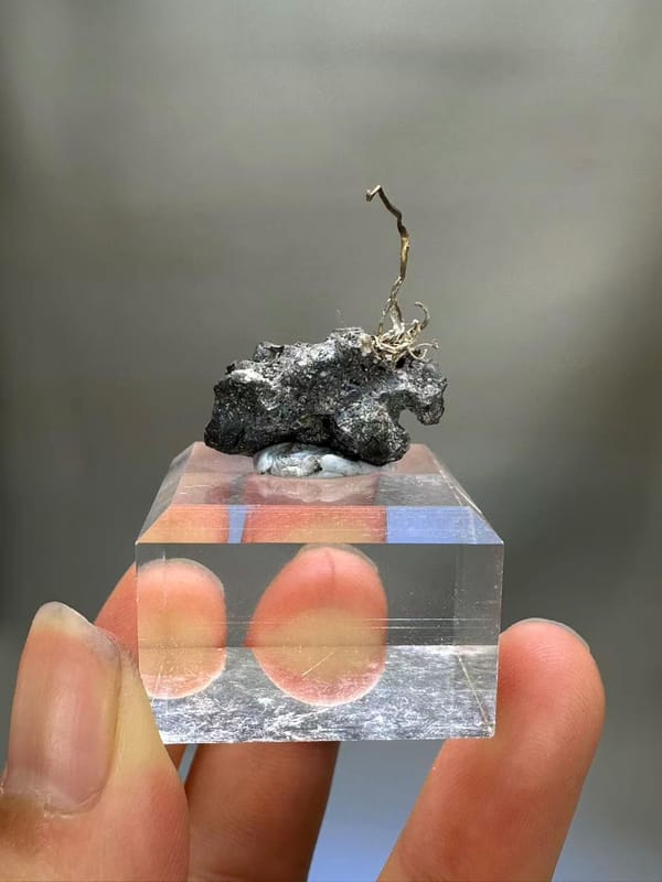 Natural Native Silver Wire Specimen Inner Mongolia China - Crystallized Silver on Sulfide Matrix Collector Element - SKU H1022