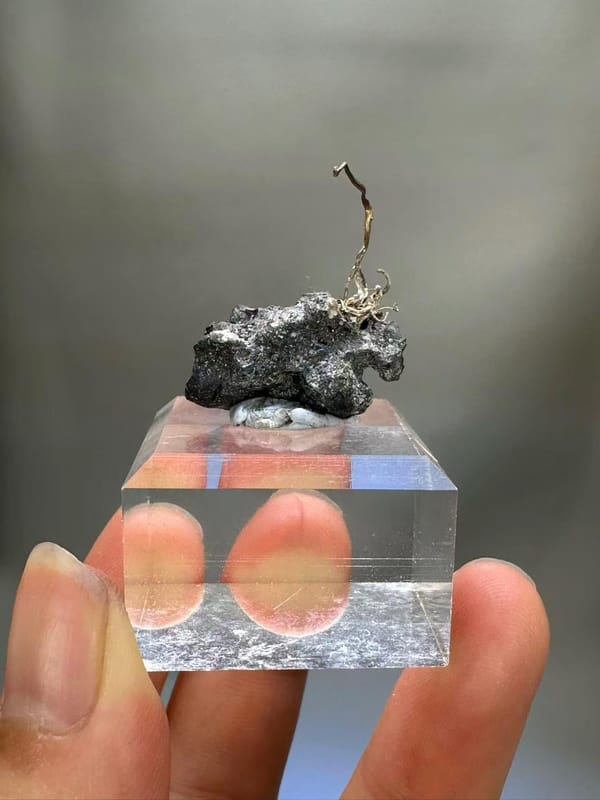 Natural Native Silver Wire Specimen Inner Mongolia China - Crystallized Silver on Sulfide Matrix Collector Element - SKU H1022