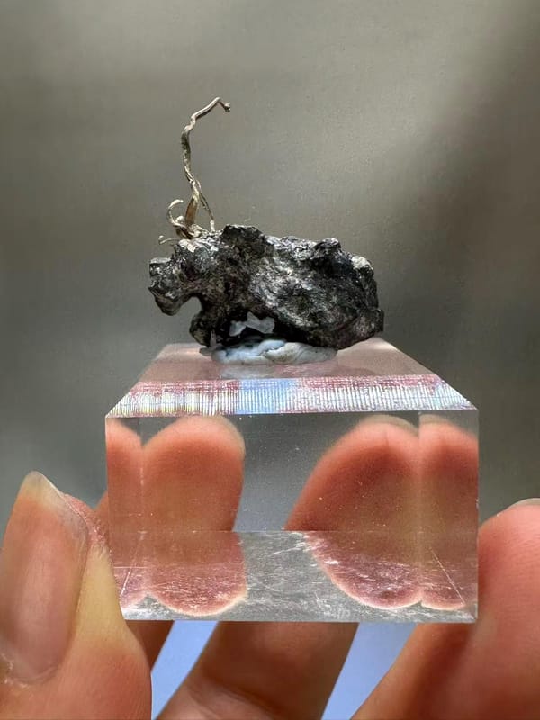 Natural Native Silver Wire Specimen Inner Mongolia China - Crystallized Silver on Sulfide Matrix Collector Element - SKU H1022