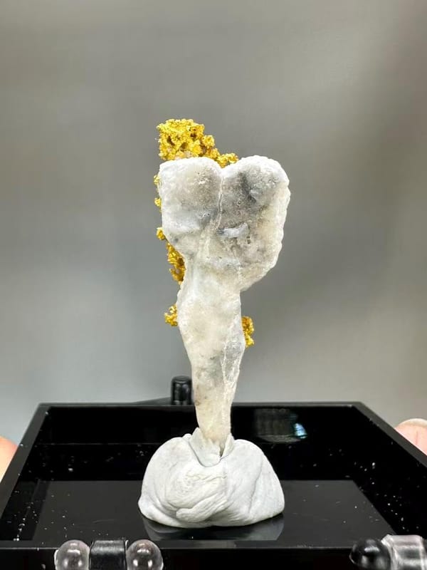 Natural Native Gold Specimen Henan Luoyang China - Crystallized Gold Dendrite on White Matrix Element Collector - SKU H1031