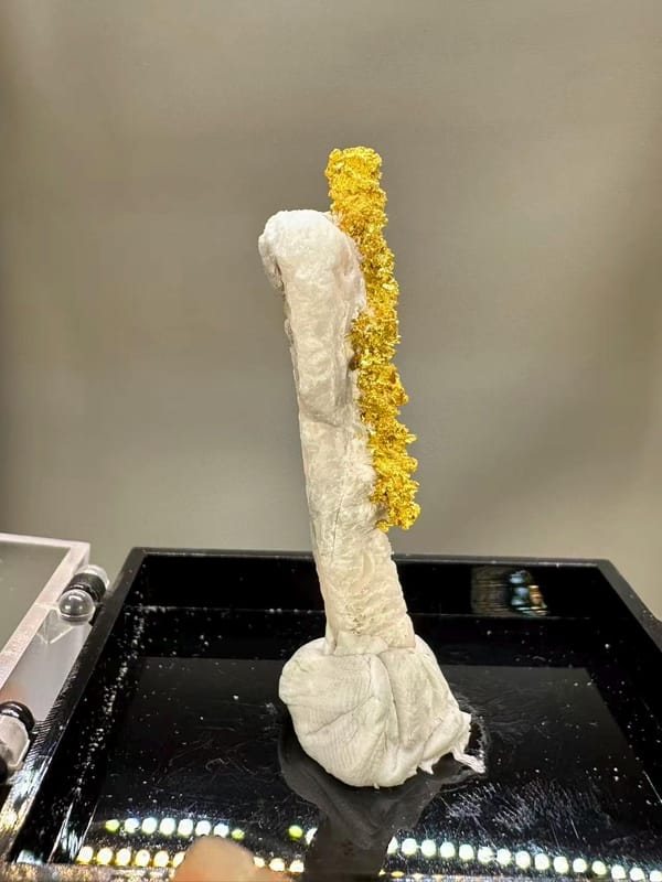 Natural Native Gold Specimen Henan Luoyang China - Crystallized Gold Dendrite on White Matrix Element Collector - SKU H1031