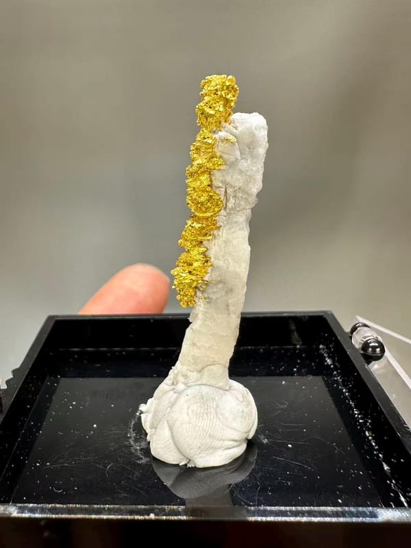 Natural Native Gold Specimen Henan Luoyang China - Crystallized Gold Dendrite on White Matrix Element Collector - SKU H1031
