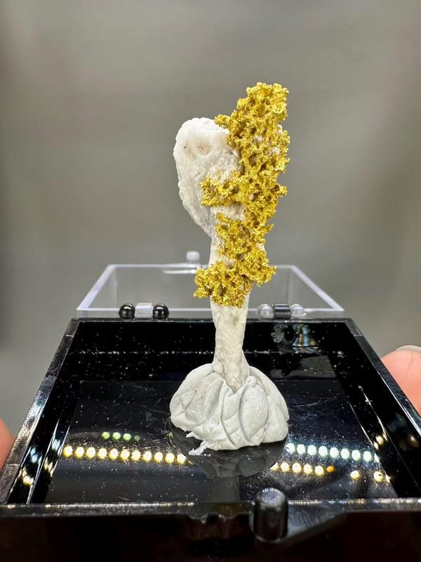 Natural Native Gold Specimen Henan Luoyang China - Crystallized Gold Dendrite on White Matrix Element Collector - SKU H1031