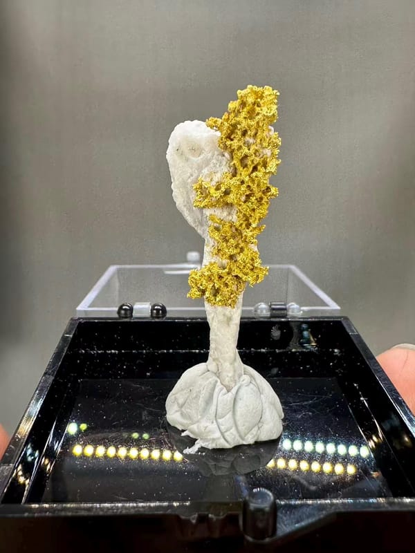 Natural Native Gold Specimen Henan Luoyang China - Crystallized Gold Dendrite on White Matrix Element Collector - SKU H1031