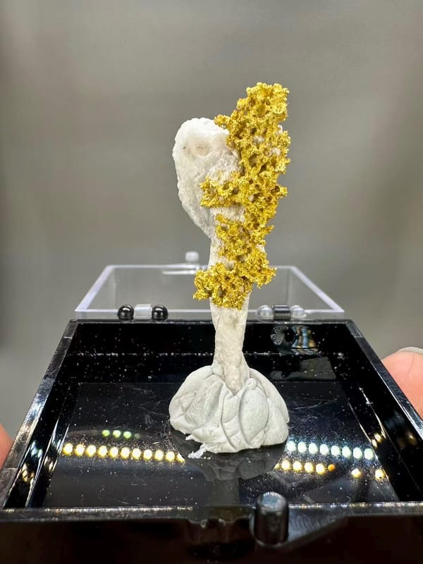 Natural Native Gold Specimen Henan Luoyang China - Crystallized Gold Dendrite on White Matrix Element Collector - SKU H1031