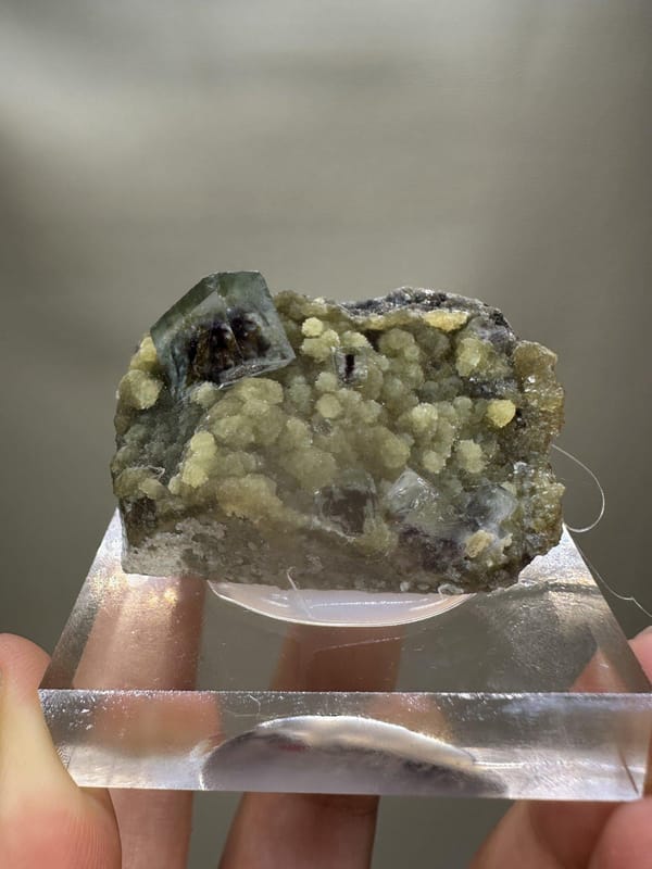 Phantom Fluorite Crystal | Natural Green Cubic Fluorite | Inner Mongolia China | Collector Mineral Specimen
