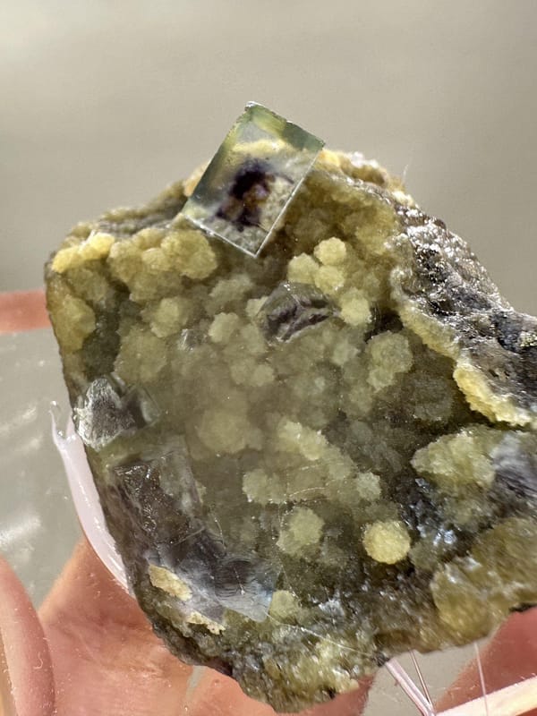 Phantom Fluorite Crystal | Natural Green Cubic Fluorite | Inner Mongolia China | Collector Mineral Specimen