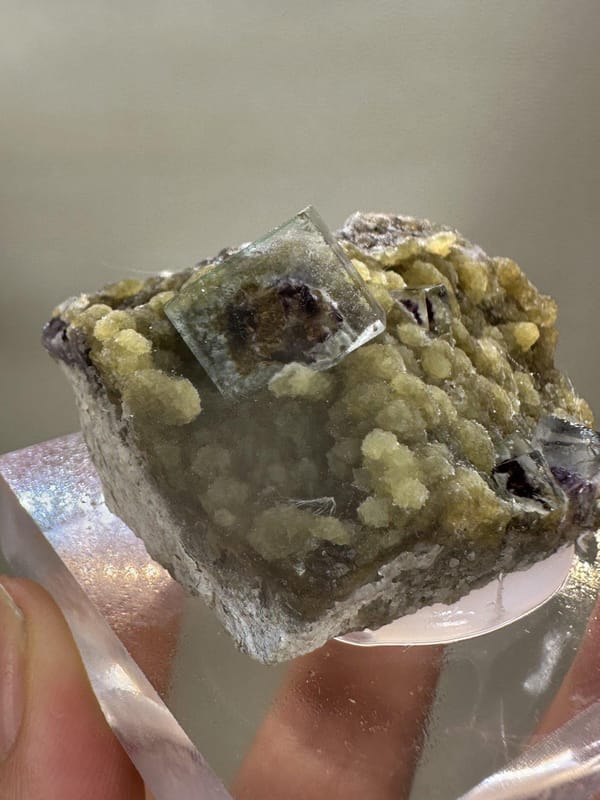 Phantom Fluorite Crystal | Natural Green Cubic Fluorite | Inner Mongolia China | Collector Mineral Specimen