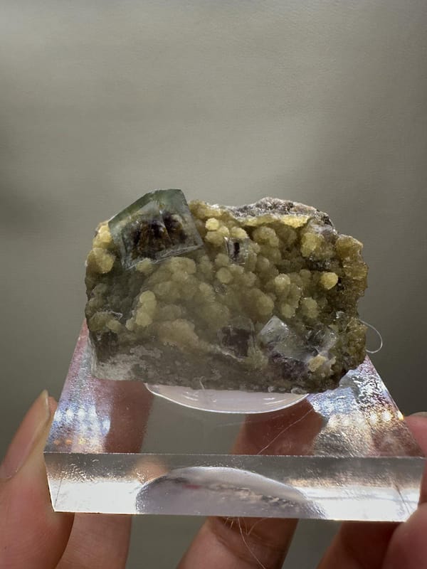 Phantom Fluorite Crystal | Natural Green Cubic Fluorite | Inner Mongolia China | Collector Mineral Specimen