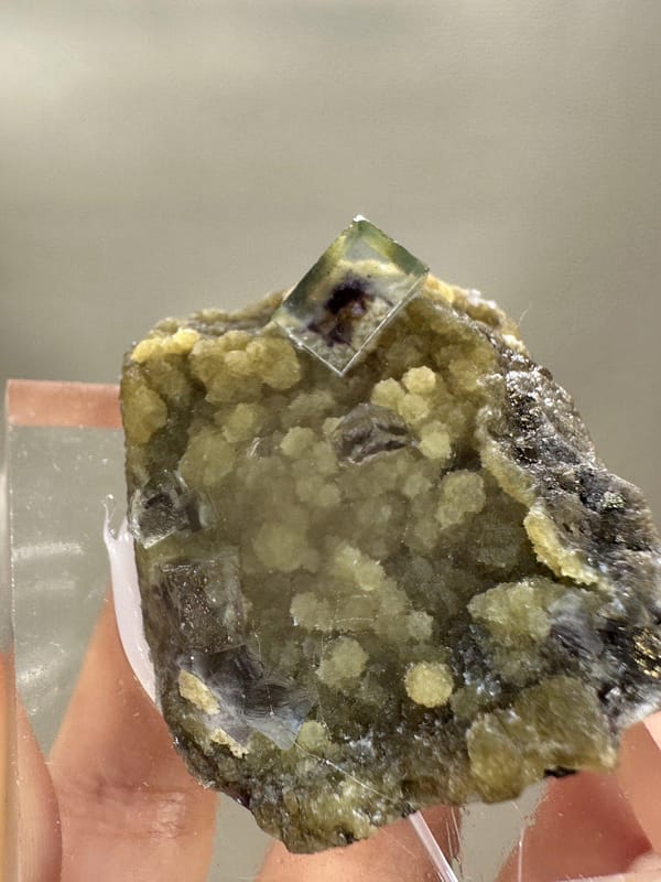 Phantom Fluorite Crystal | Natural Green Cubic Fluorite | Inner Mongolia China | Collector Mineral Specimen