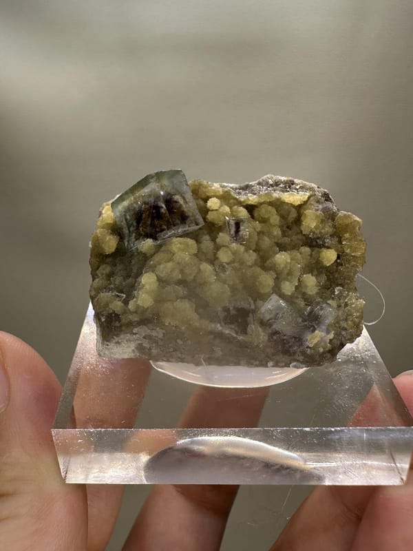 Phantom Fluorite Crystal | Natural Green Cubic Fluorite | Inner Mongolia China | Collector Mineral Specimen