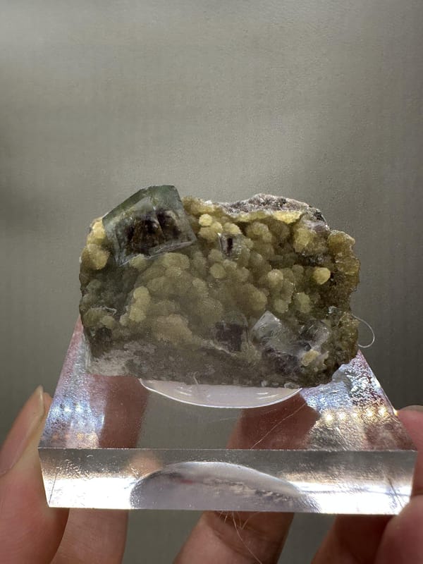 Phantom Fluorite Crystal | Natural Green Cubic Fluorite | Inner Mongolia China | Collector Mineral Specimen