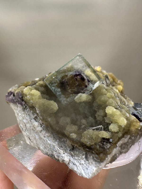 Phantom Fluorite Crystal | Natural Green Cubic Fluorite | Inner Mongolia China | Collector Mineral Specimen