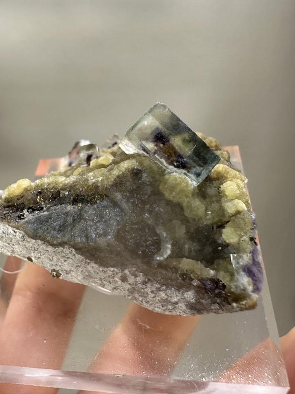 Phantom Fluorite Crystal | Natural Green Cubic Fluorite | Inner Mongolia China | Collector Mineral Specimen