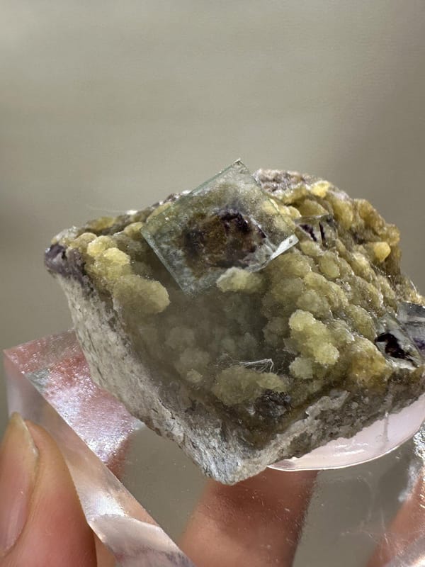 Phantom Fluorite Crystal | Natural Green Cubic Fluorite | Inner Mongolia China | Collector Mineral Specimen