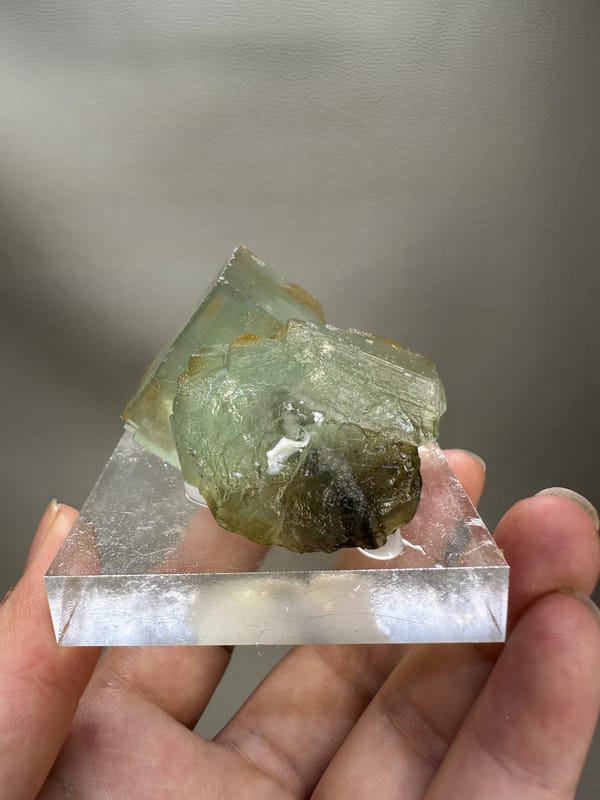 Window Green Fluorite Crystal | Phantom Cubic Fluorite | Xianghualing China | Natural Mineral Specimen