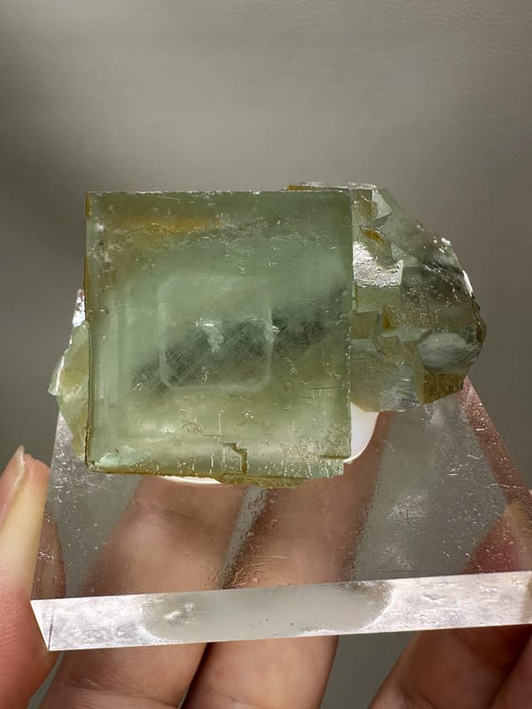 Window Green Fluorite Crystal | Phantom Cubic Fluorite | Xianghualing China | Natural Mineral Specimen