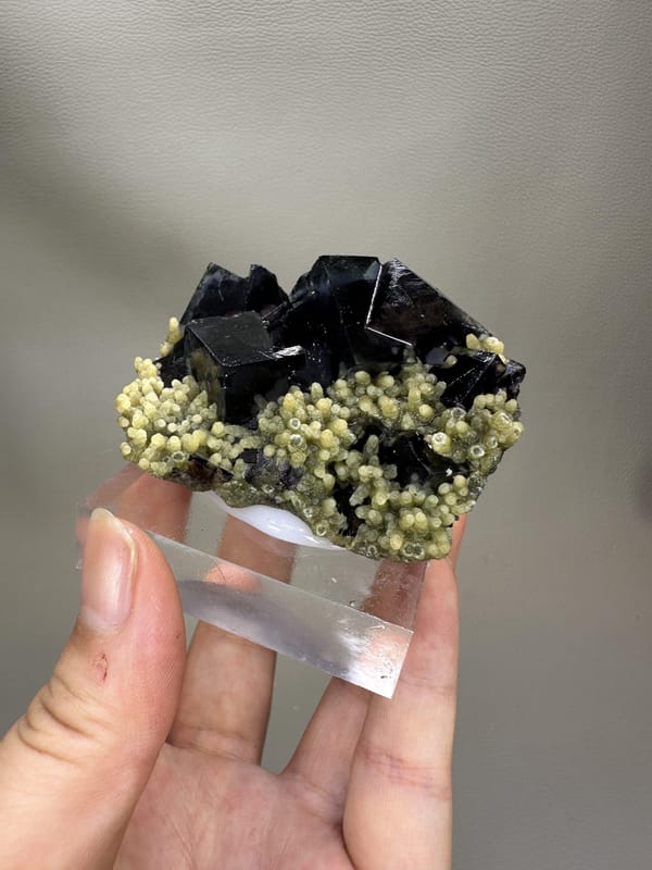 Phantom Fluorite Cube | Natural Green Cubic Fluorite | Inner Mongolia China | Collector Mineral Specimen