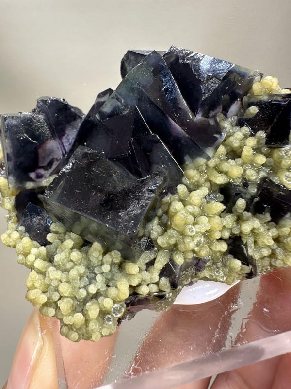 Phantom Fluorite Cube | Natural Green Cubic Fluorite | Inner Mongolia China | Collector Mineral Specimen