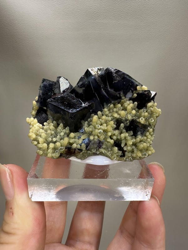Phantom Fluorite Cube | Natural Green Cubic Fluorite | Inner Mongolia China | Collector Mineral Specimen