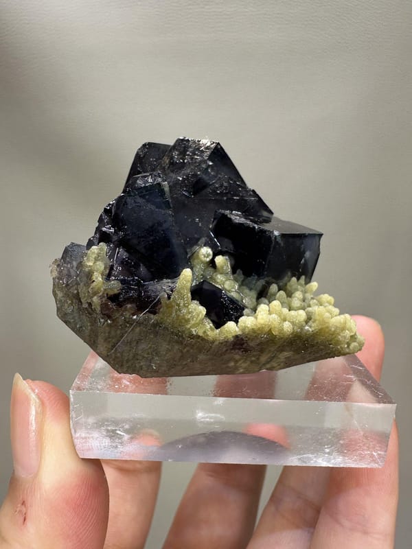 Phantom Fluorite Cube | Natural Green Cubic Fluorite | Inner Mongolia China | Collector Mineral Specimen