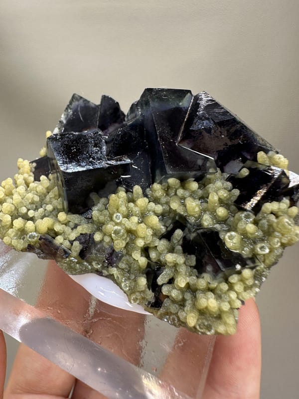 Phantom Fluorite Cube | Natural Green Cubic Fluorite | Inner Mongolia China | Collector Mineral Specimen